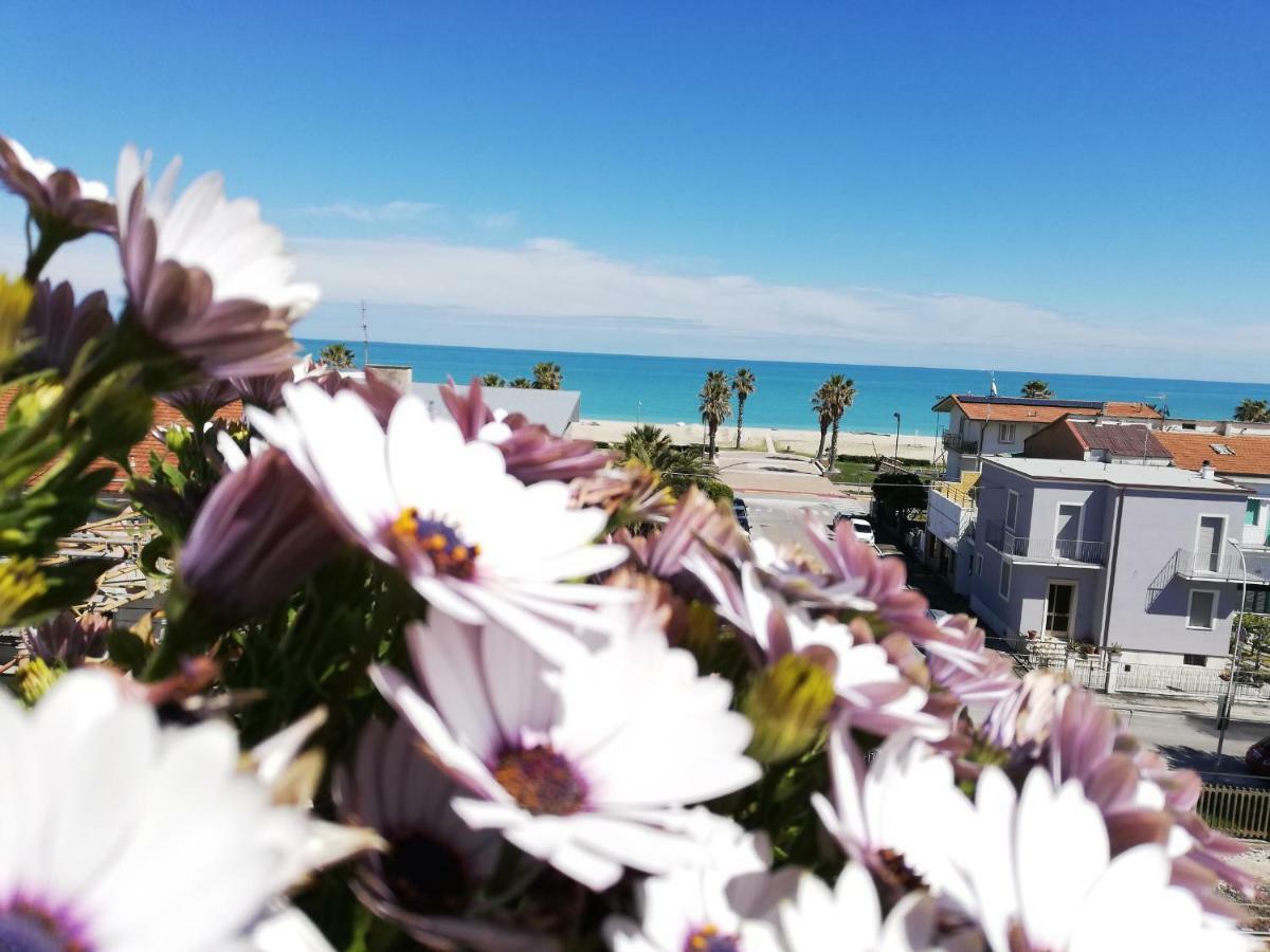 La Dimora Di Lola Hotel Porto Sant'Elpidio Luaran gambar